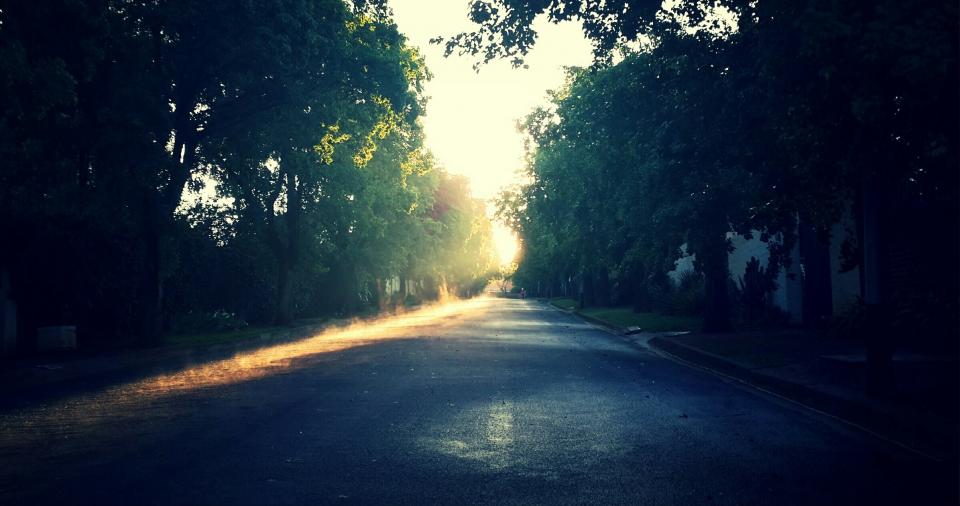 sunrise, trees, morning, street, road