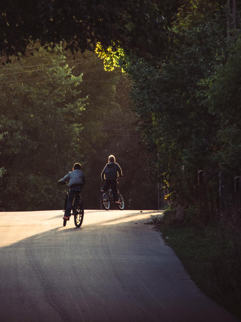 bikes, bicycles, cycling, boys, kids, children, people, fun, street, road, pavement, trees, forest, shadows, sunshine