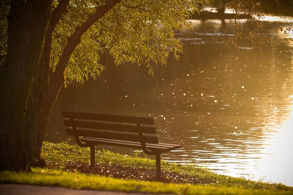 park, bench, river, water, trees, grass, nature, sun rays