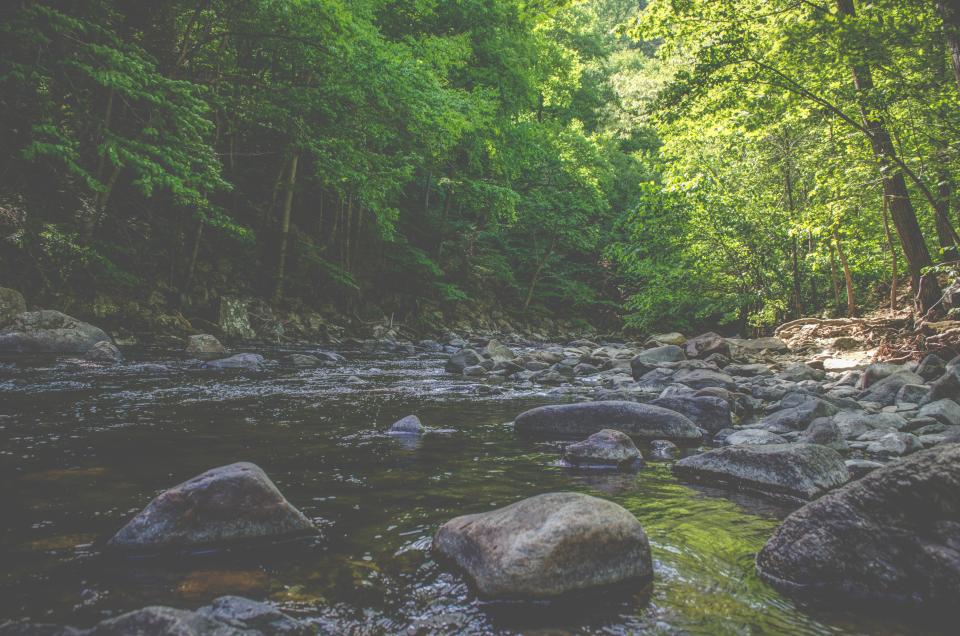 river, water, stream, rocks, nature, outdoors, trees, forest, woods, summer