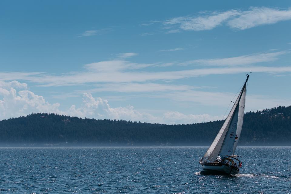 sailboat, lake, water, trees, blue, sky, sunshine, sunny, landscape, nature, outdoors