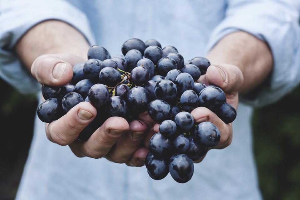 blueberries, hands, fruits, healthy, food