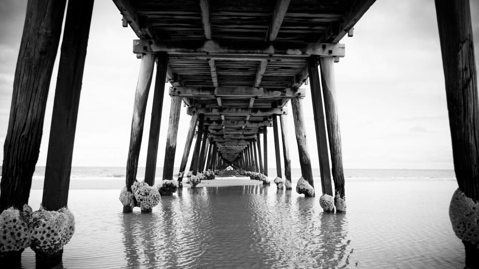 pier, dock, bridge, beach, ocean, sea, water, black and white, wood, nature